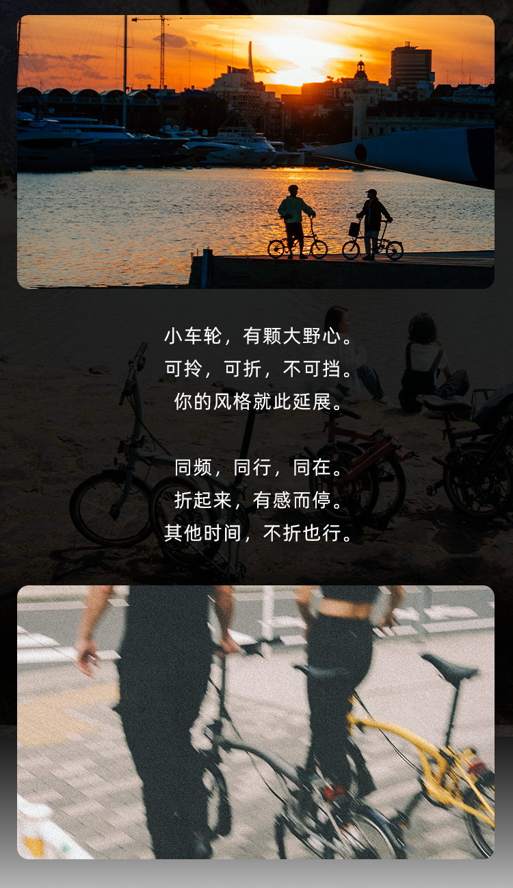 [2025-07-30]BROMPTON50LifeUnfolded不折也行