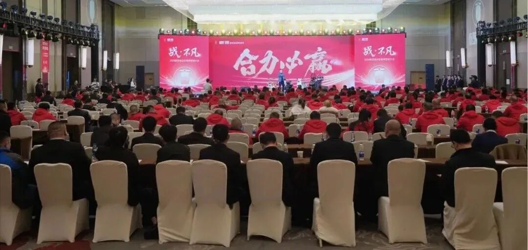 2025蛇我其谁欧派全力奔赴巅峰