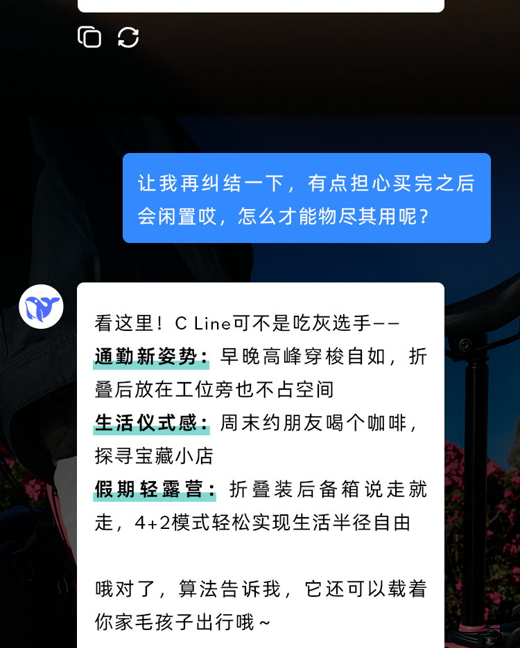 [2025-04-10]当我问AIBROMPTONCLine怎么选