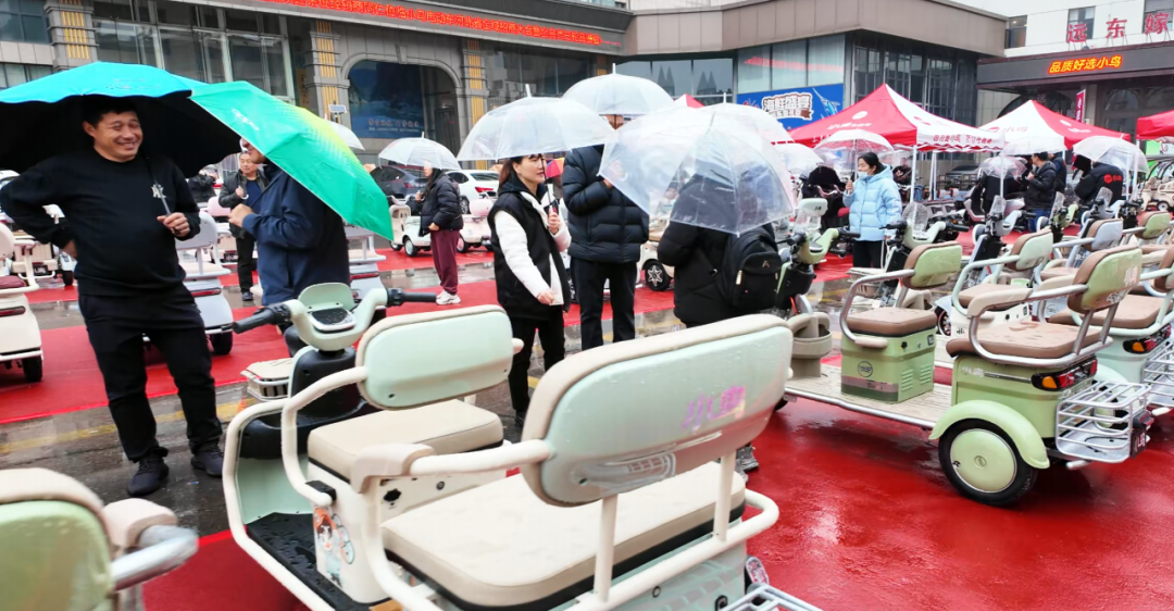 [2024-11-27]发挥优势巩固北方