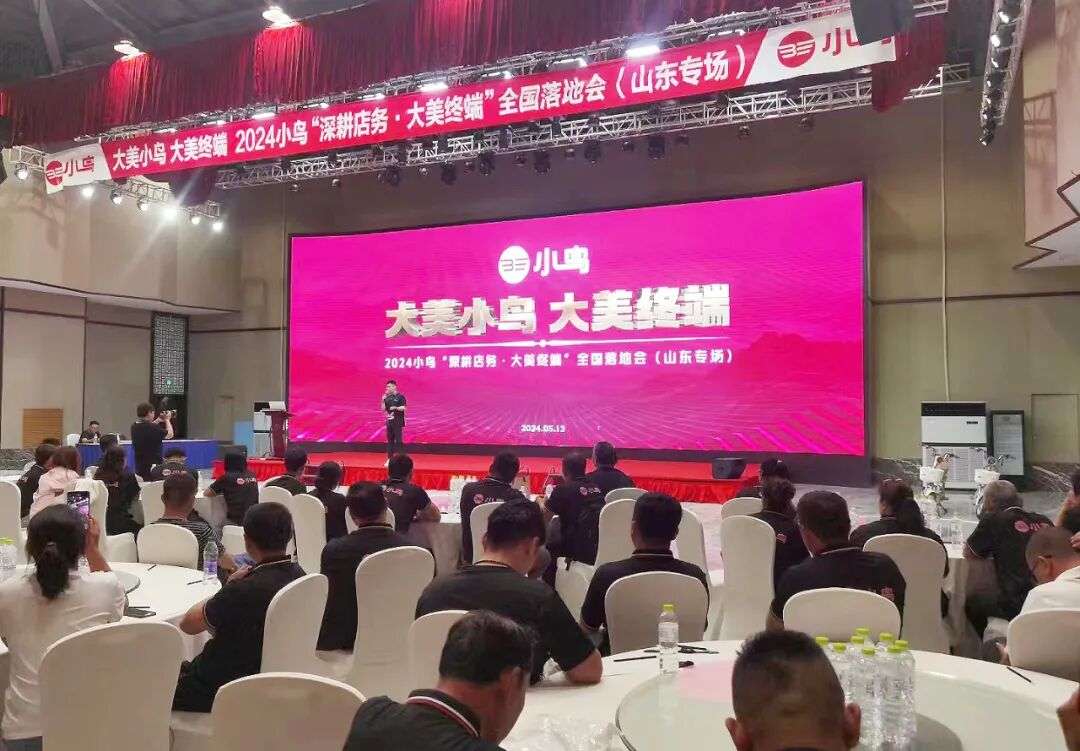 大美小鸟大美终端