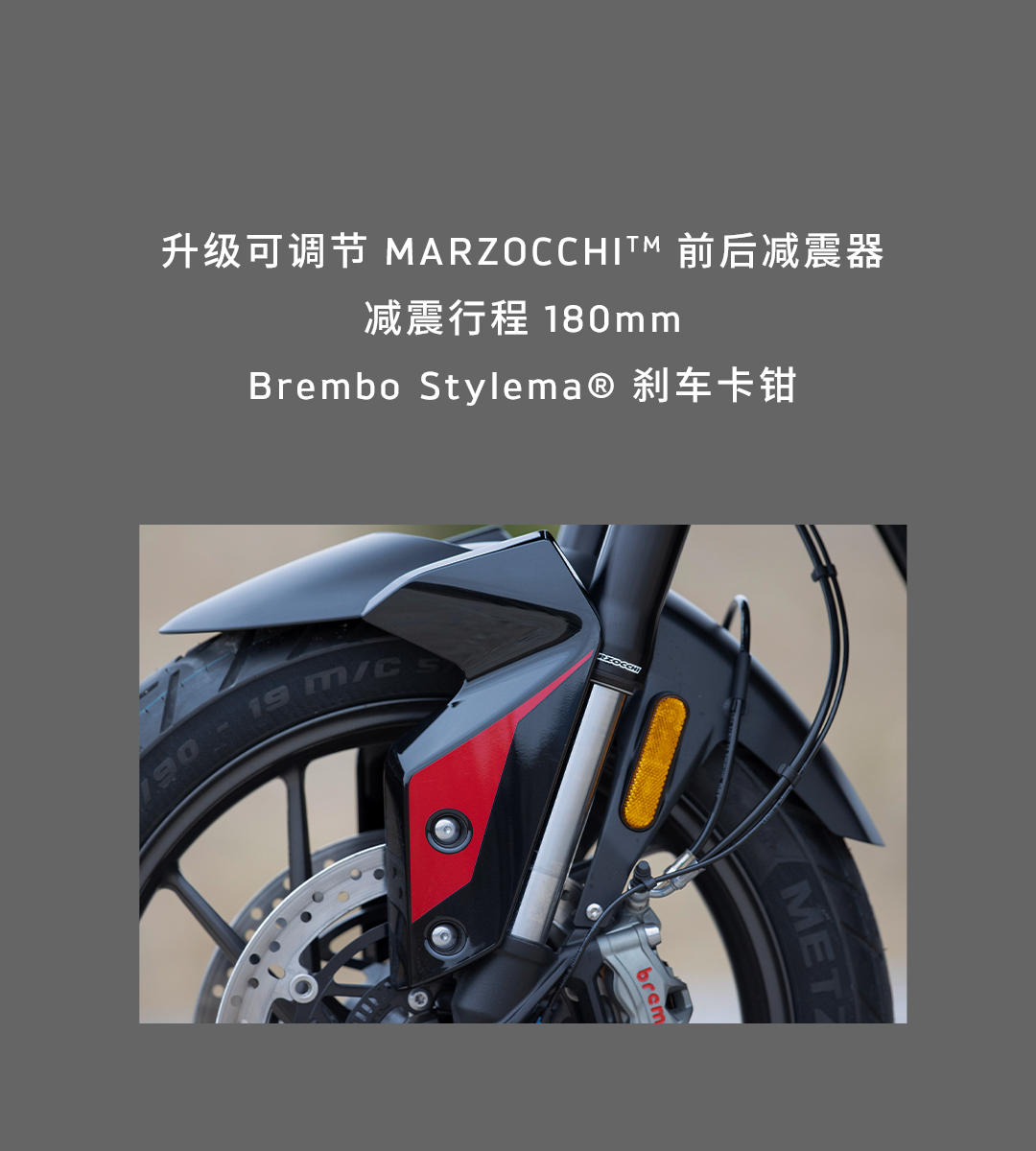 [2025-01-17]鉴虎图Tiger家族全揭秘