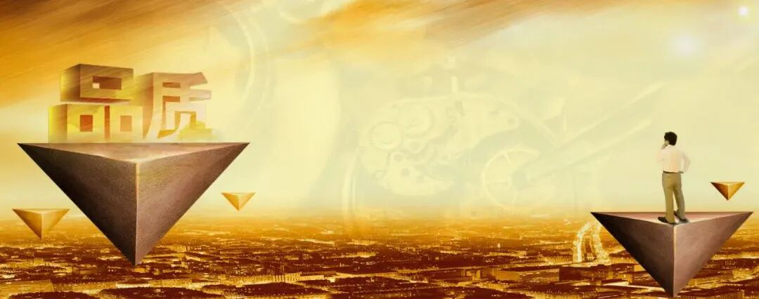 小鸟什么能13年持续领先