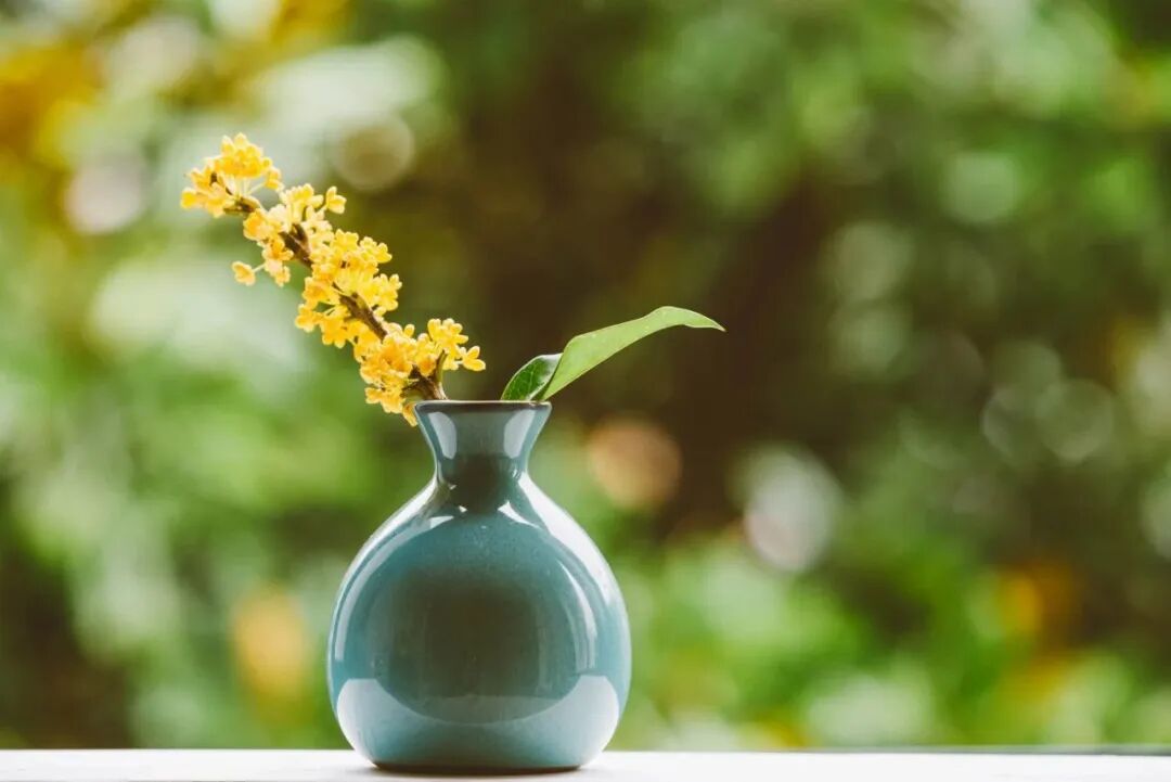 重阳节gapday放风指南