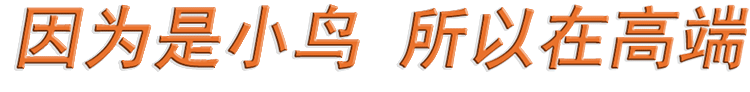 小鸟什么能13年持续领先
