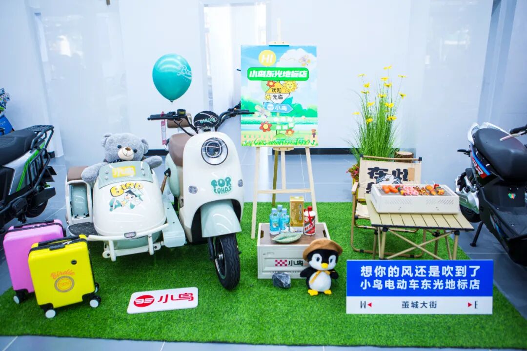 [2024-06-27]小鸟步新布局不凡