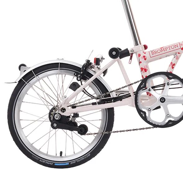 [2025-02-27]迎接樱花季需要准备什么