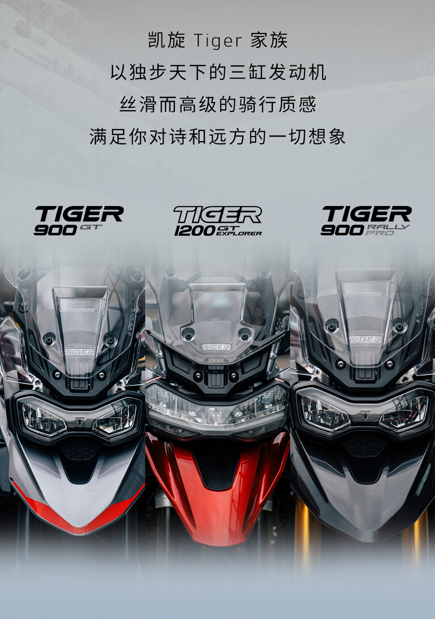 [2025-01-17]鉴虎图Tiger家族全揭秘