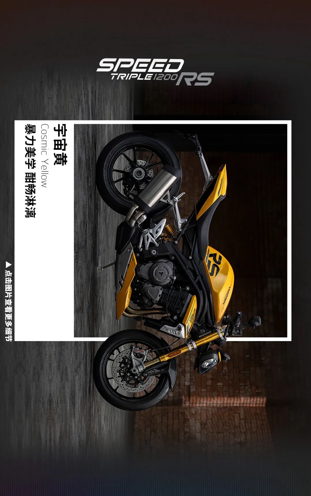 [2024-06-08]凯旋流行色指南