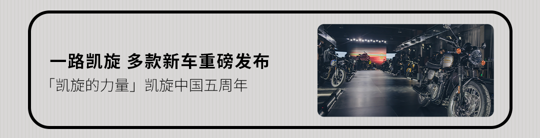 [2025-01-17]鉴虎图Tiger家族全揭秘