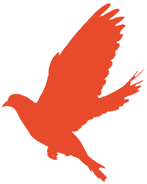 致敬守护者助力国防事业绿驹在行动