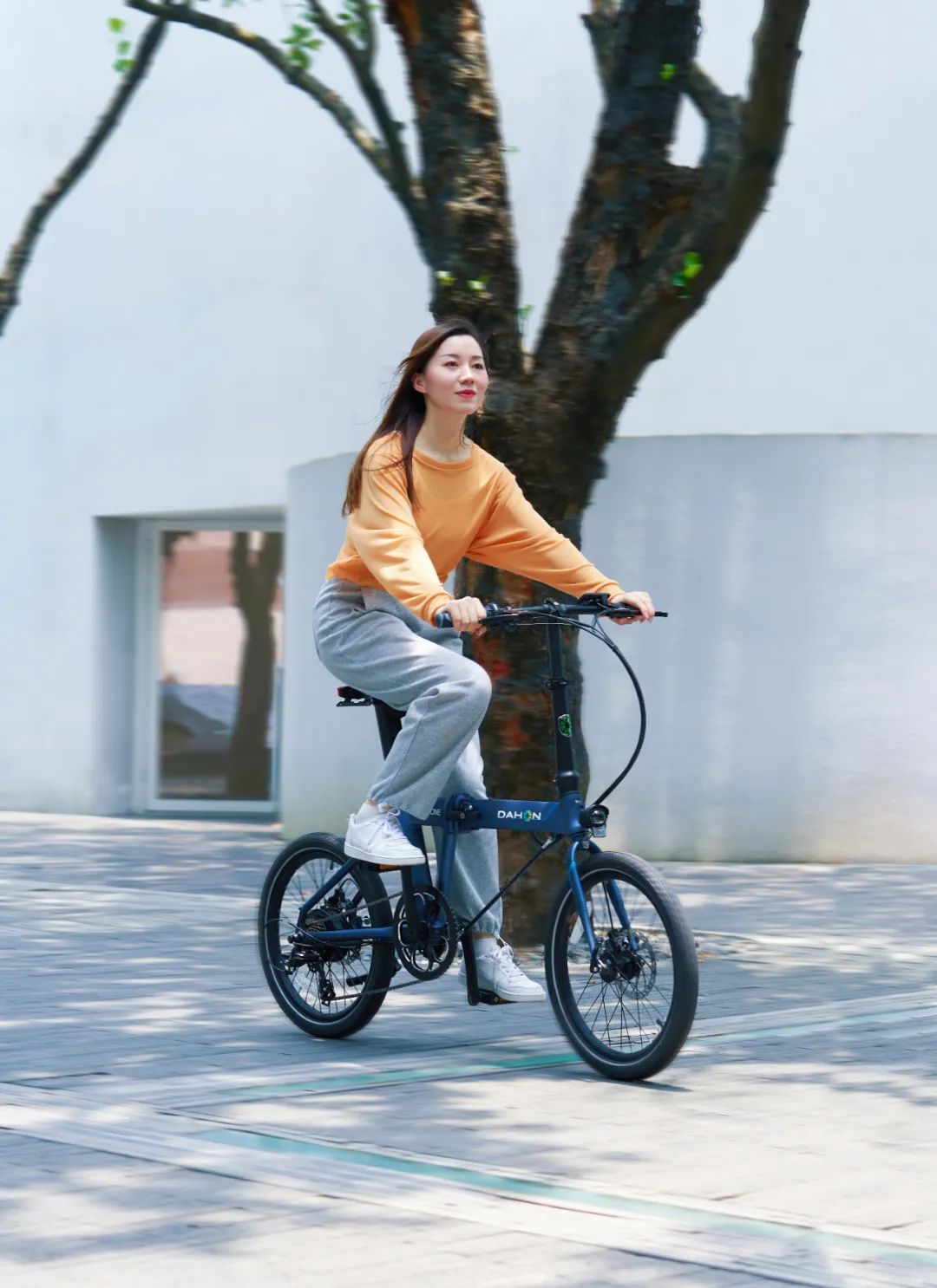 力随心动悦骑轻松DAHON大行轻量化折叠电助力自行车KONE