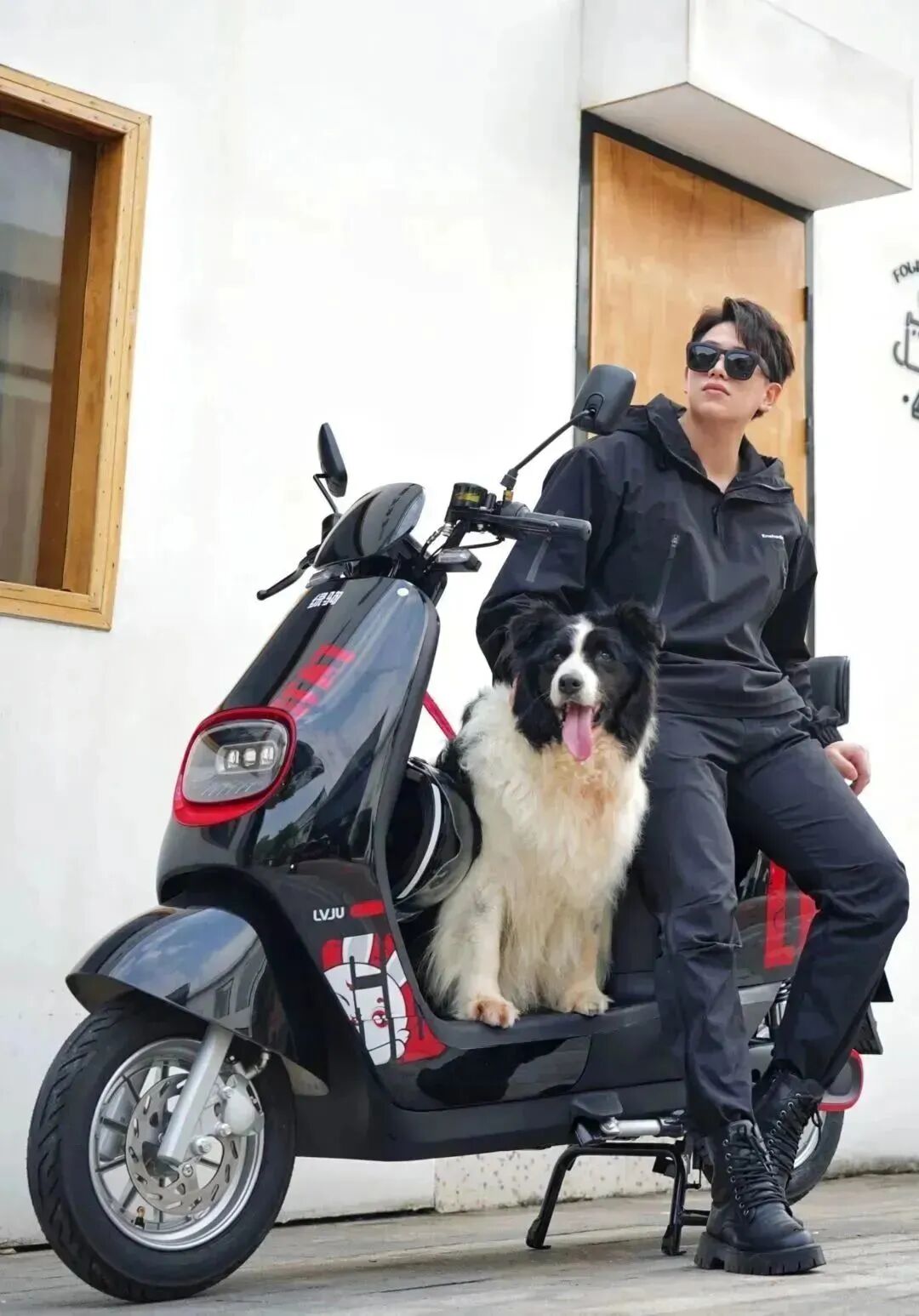 爱宠系列快乐春日