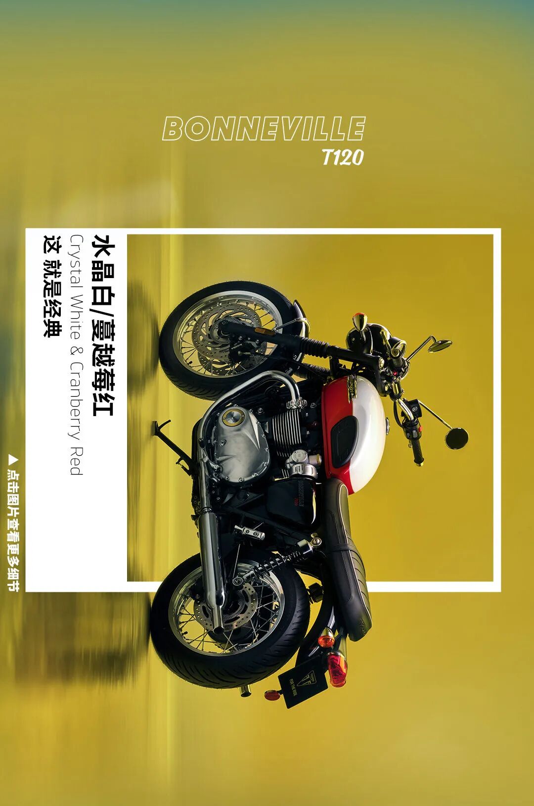 [2024-06-08]凯旋流行色指南