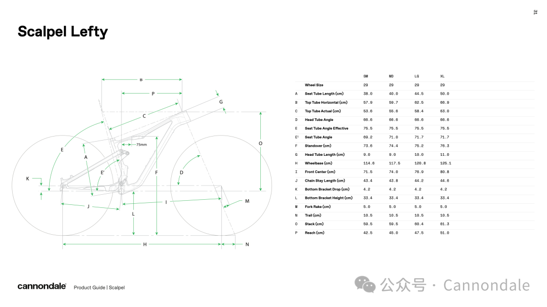 Scalpel一直在最前沿