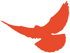 致敬守护者助力国防事业绿驹在行动