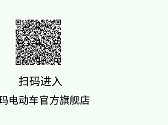 [2025-03-28]2025爱玛追星音乐节