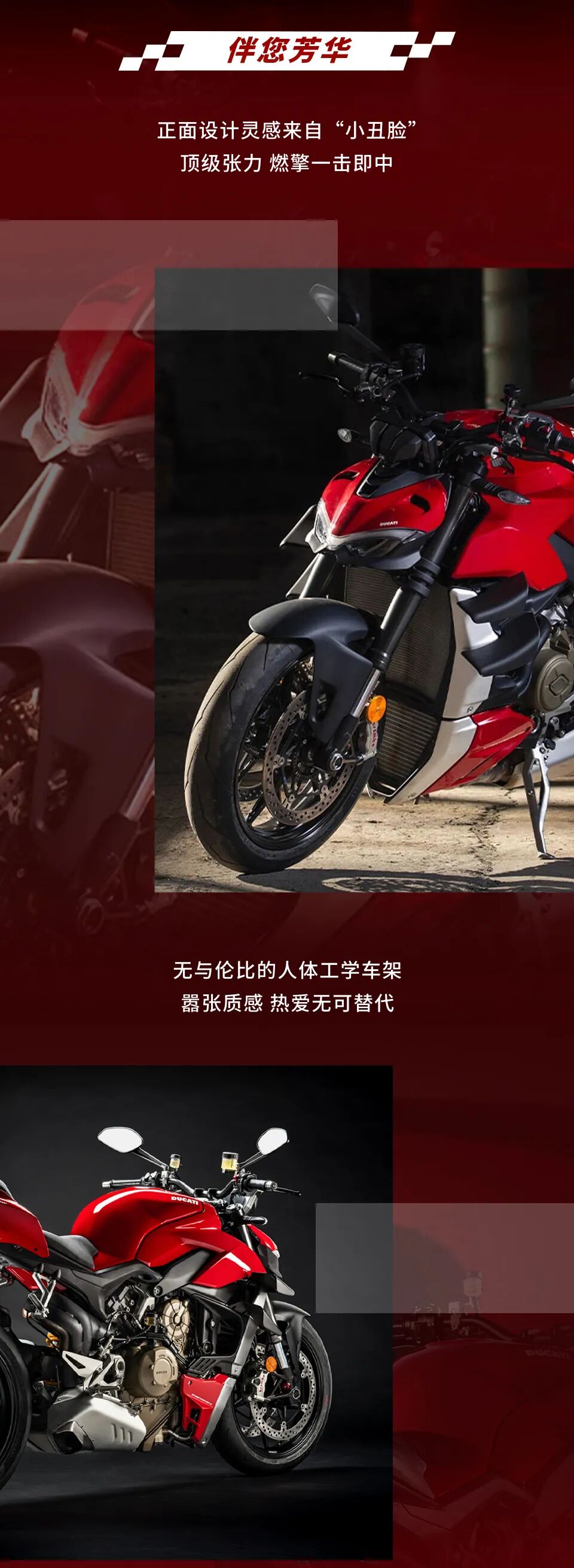 [2024-06-17]驰骋旷野霸气十足