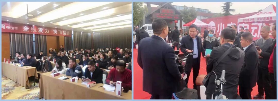 2023小鸟一路春天里