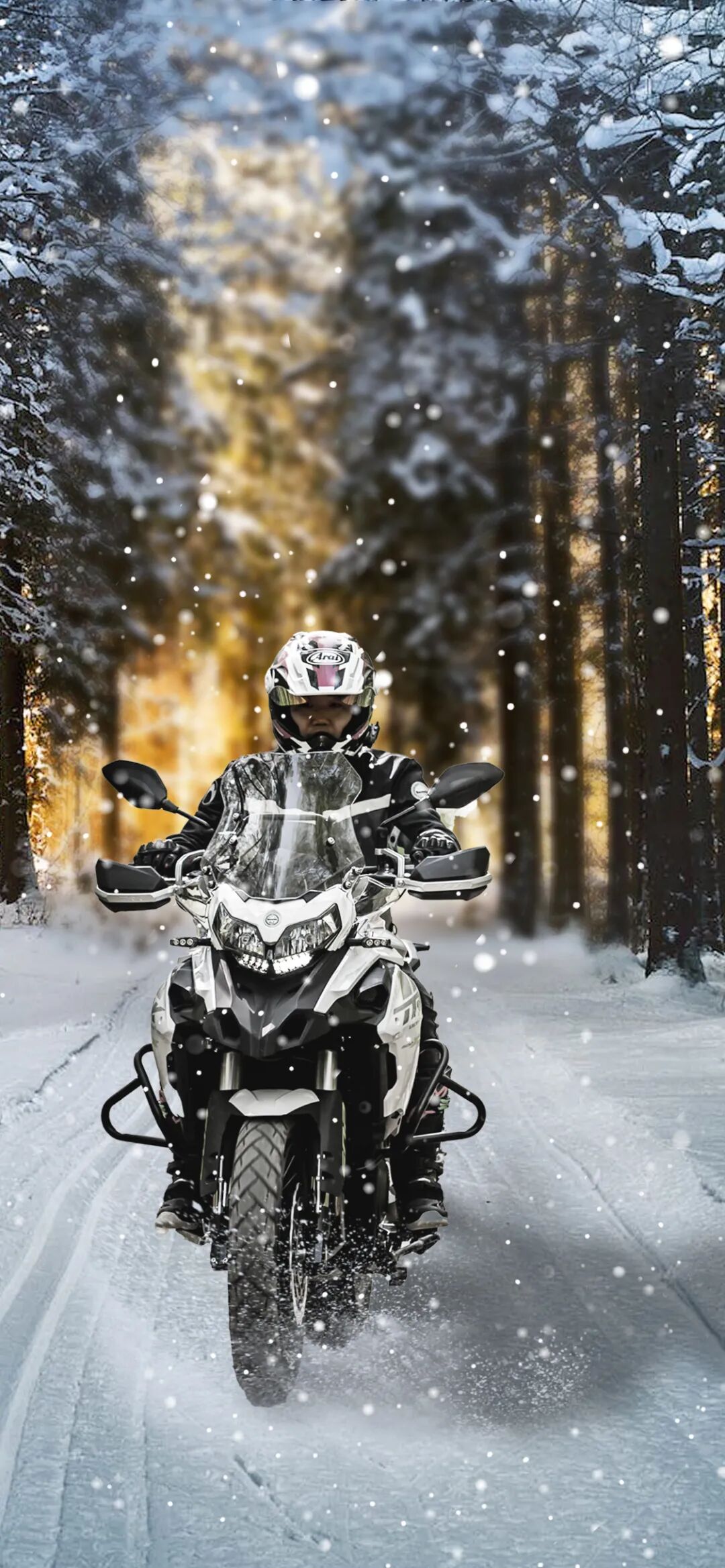 11月壁纸立冬了你的Crush出现了吗