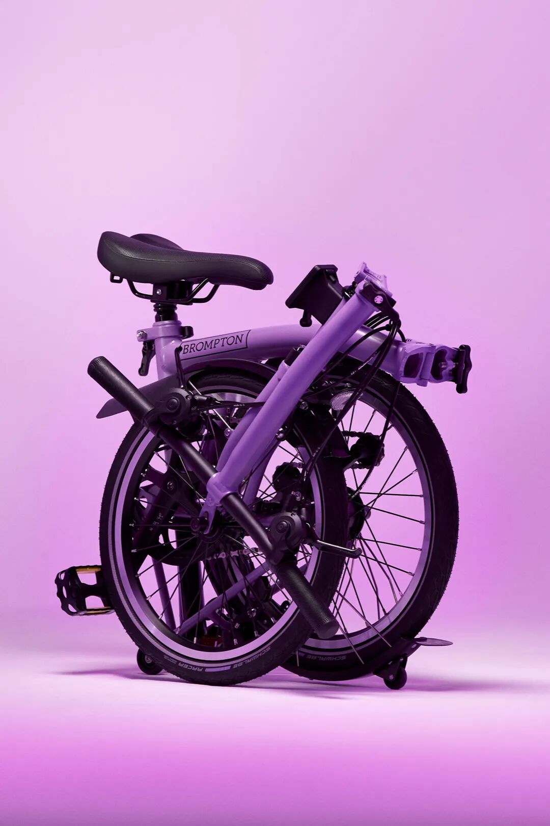 [2024-04-10]神秘的个性的活泼的