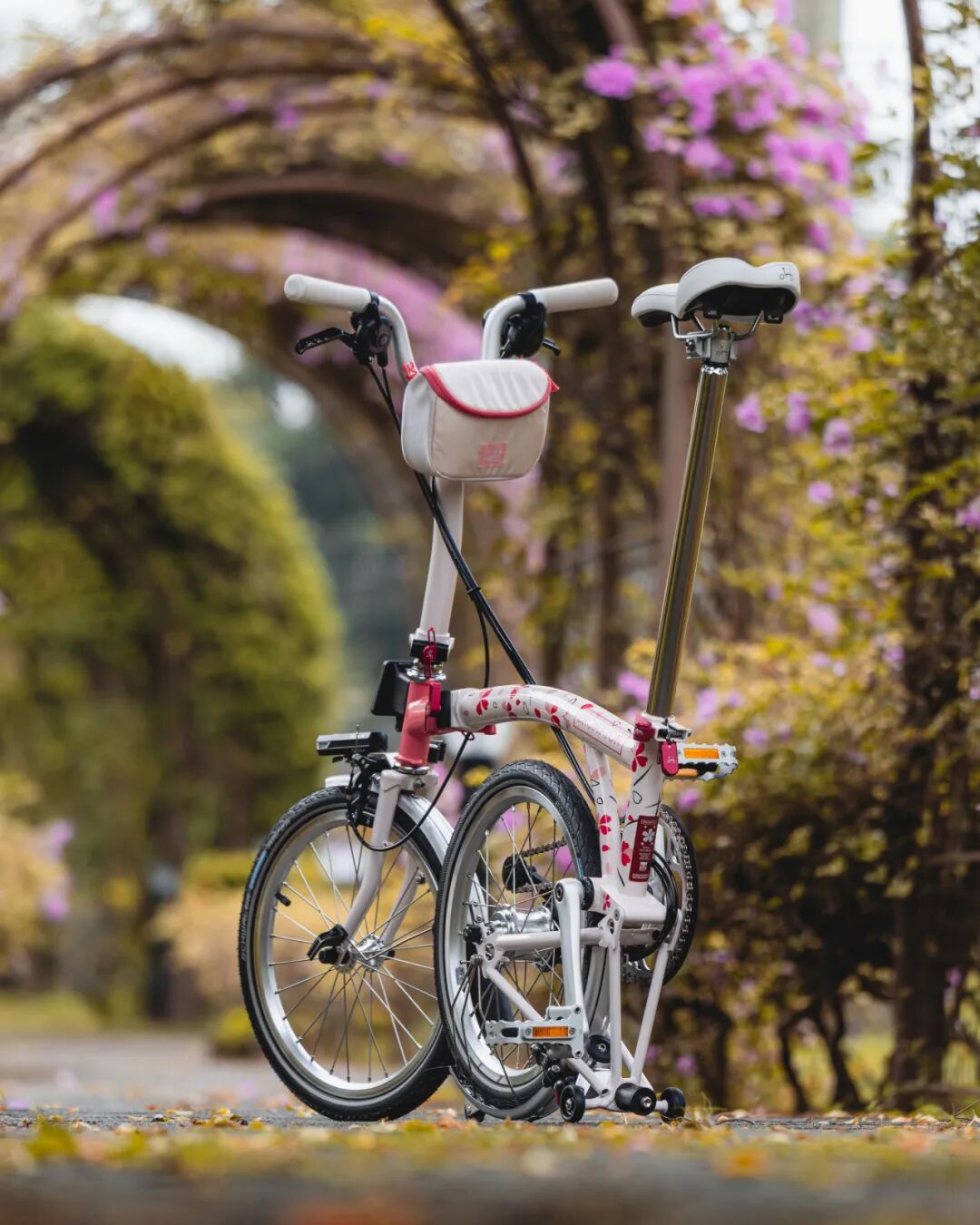 [2025-02-27]迎接樱花季需要准备什么