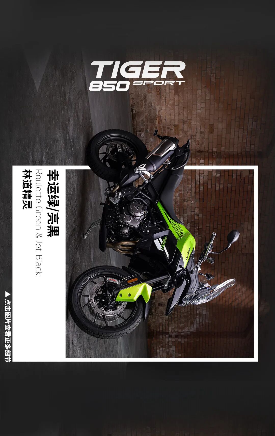 [2024-06-08]凯旋流行色指南