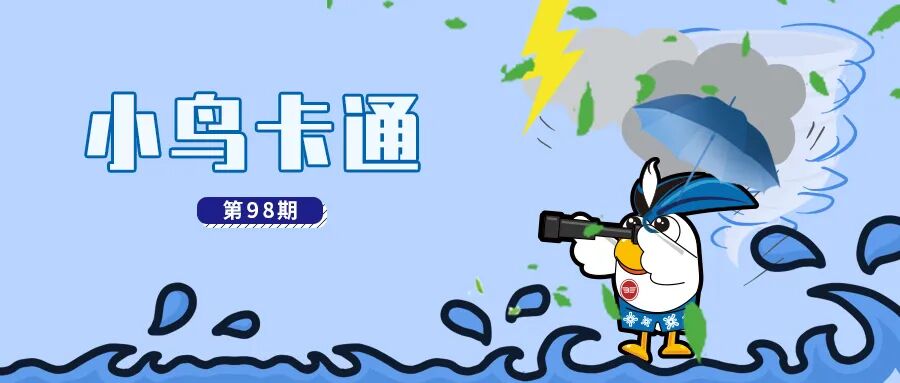 小鸟什么能13年持续领先