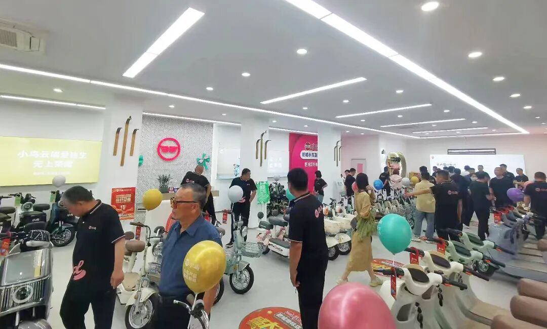 大美小鸟大美终端