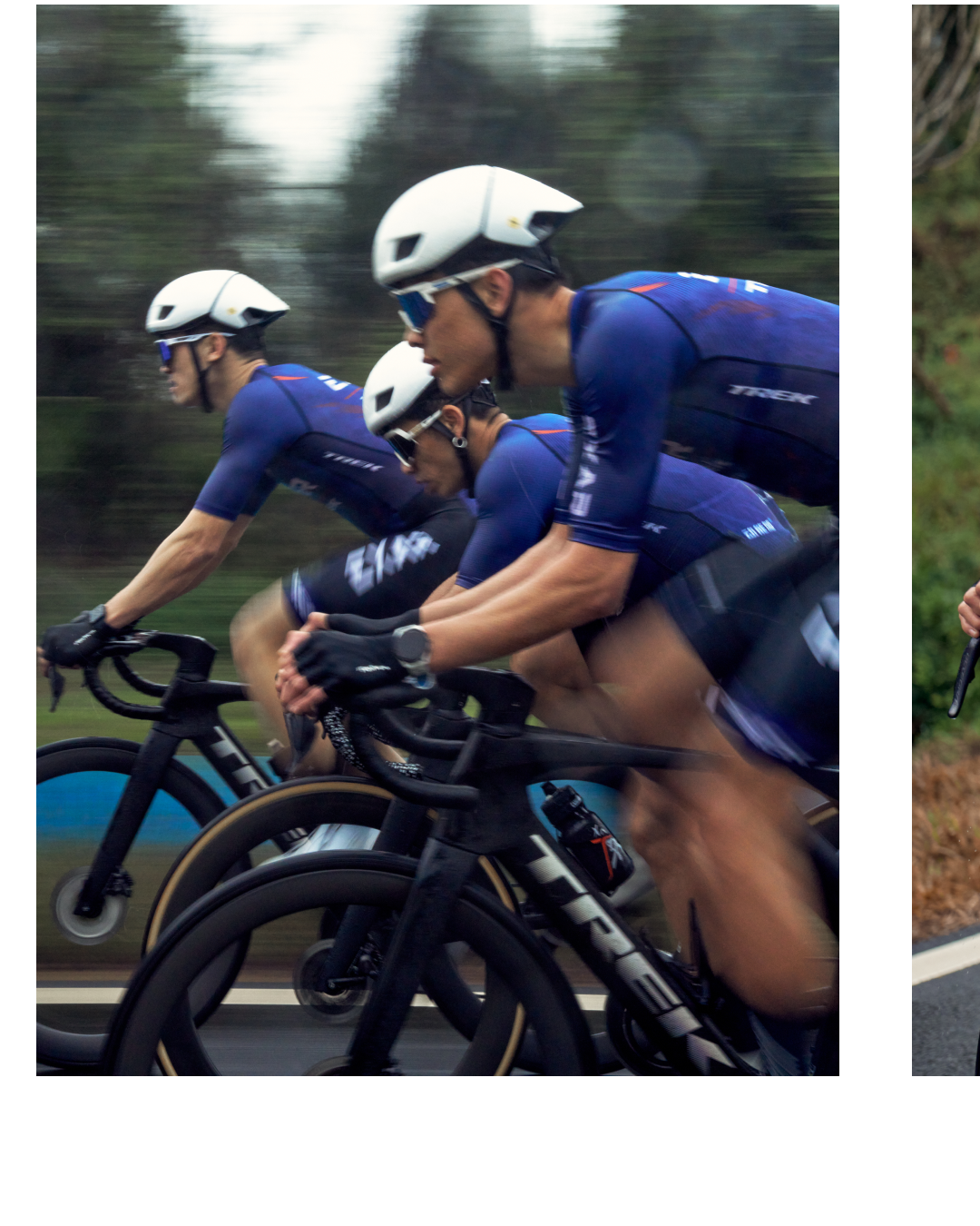 利刃出鞘迈金科技TREK车队