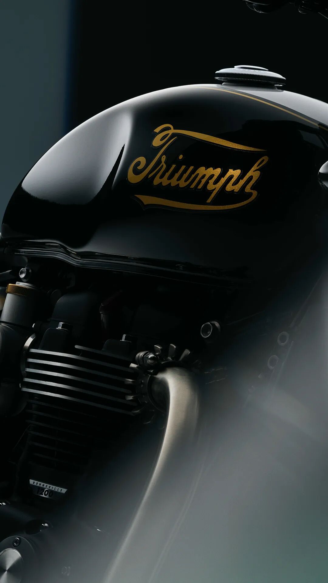 [2024-12-19]百年迭代精神永恒