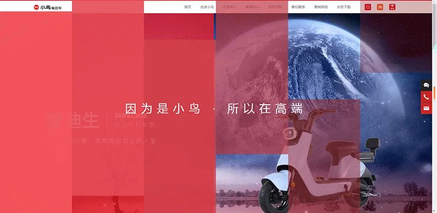 小鸟官网变脸了