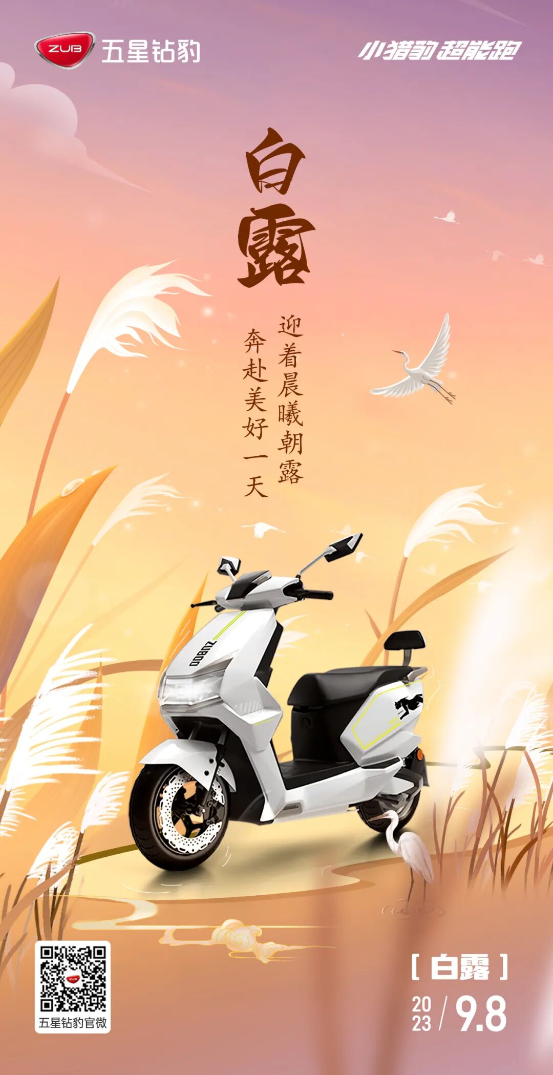 白露丨迎着晨曦朝露奔赴美好一天