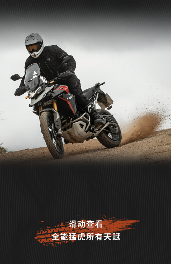 [2024-07-19]注意前方有全能猛虎出没