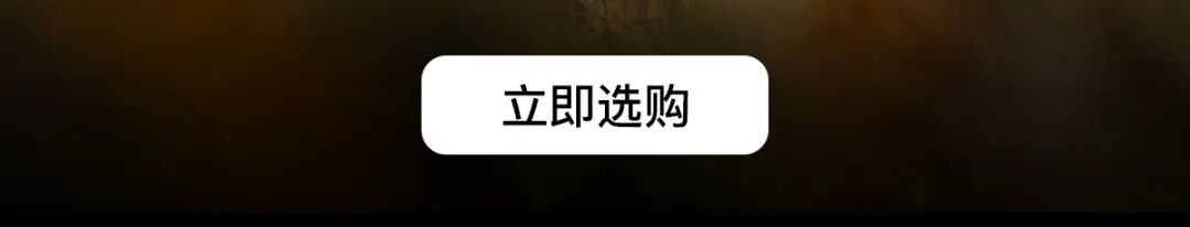 [2025-04-23]骑行手套掌控舒适与安全