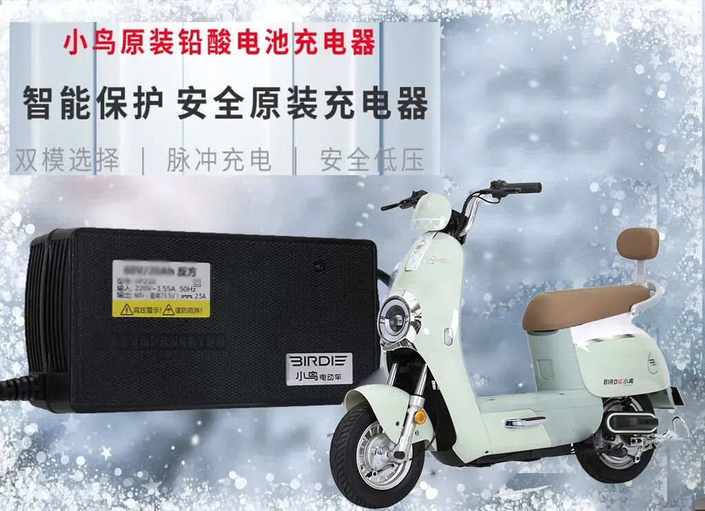 小鸟越冬妙招早知道