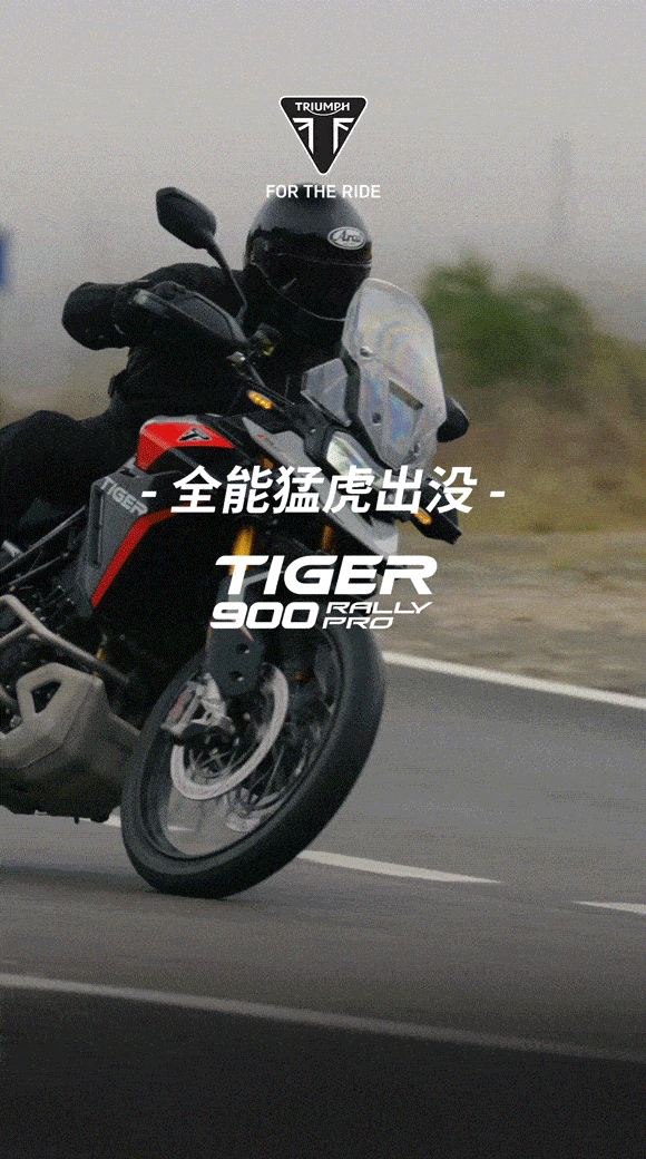 [2024-07-19]注意前方有全能猛虎出没