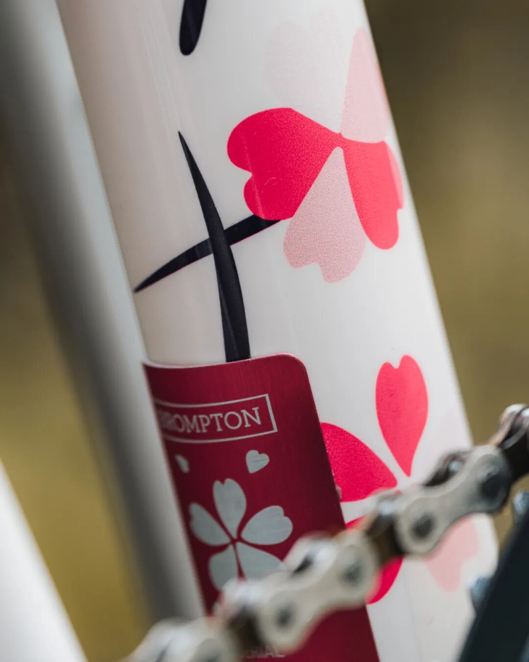 [2025-02-27]迎接樱花季需要准备什么