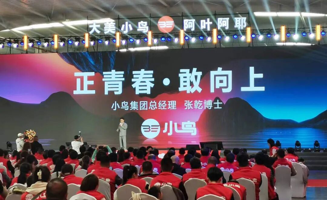 [2024-12-30]2024小鸟大事记