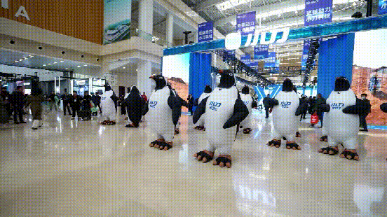 快去现场发发发了