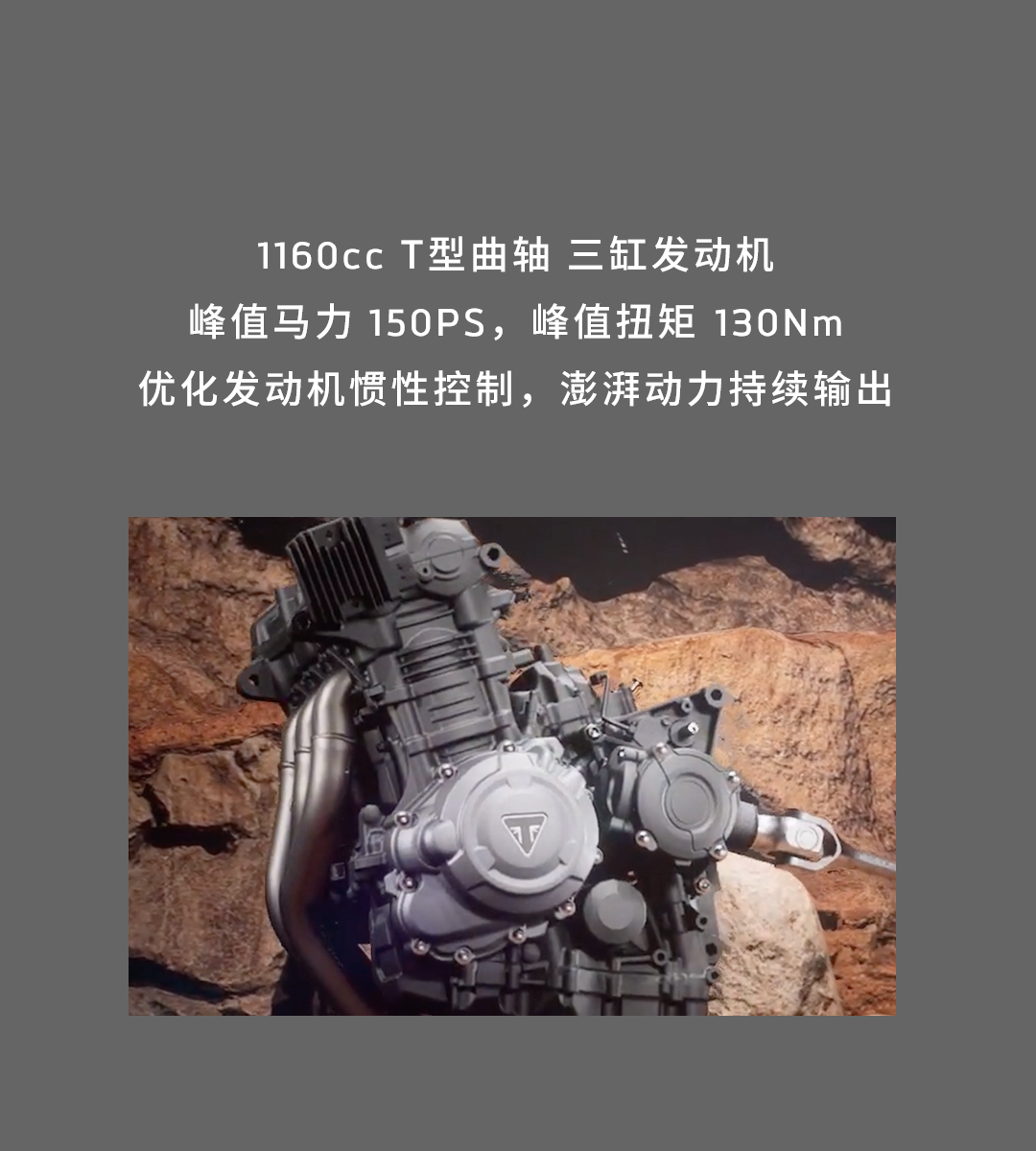 [2025-01-17]鉴虎图Tiger家族全揭秘