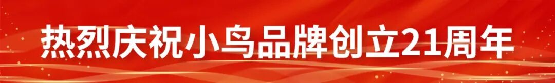 小鸟什么能13年持续领先