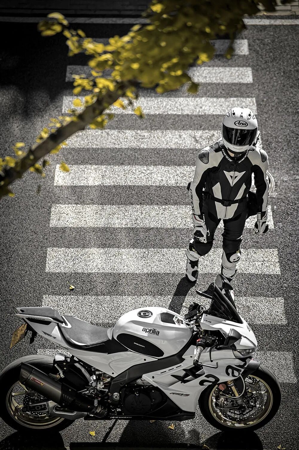 [2024-02-24]元宵佳节送好礼2024我与Aprilia共迎吉祥年入选作品公布