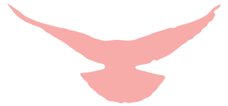 致敬守护者助力国防事业绿驹在行动