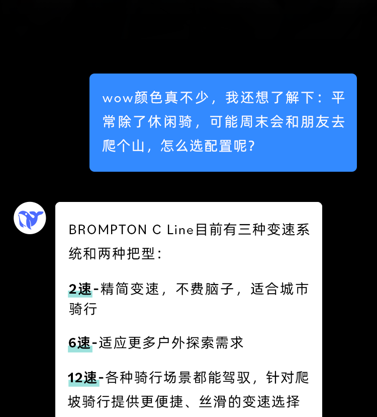 [2025-04-10]当我问AIBROMPTONCLine怎么选