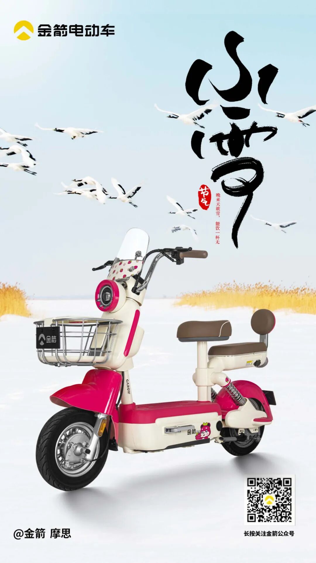 小雪迎冬I优雅从容