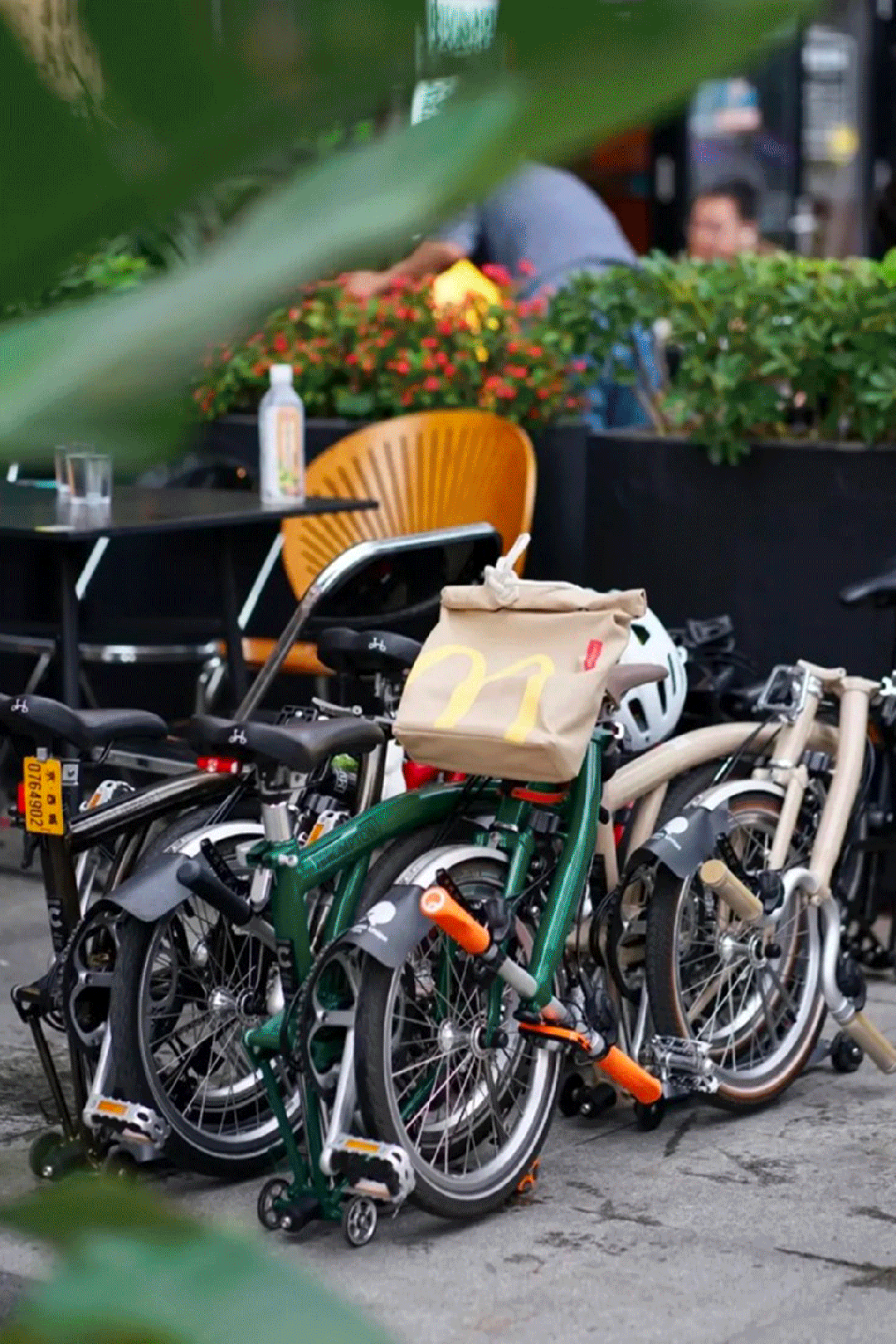 [2024-11-28]用骑行丈量生活在快与慢之间寻找深圳节奏