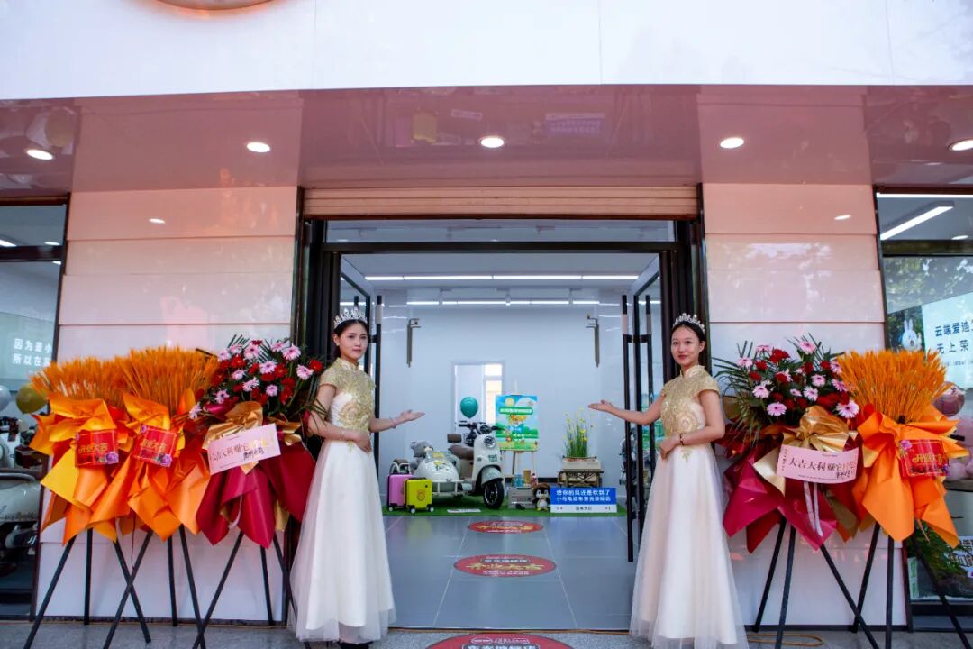 [2024-06-27]小鸟步新布局不凡