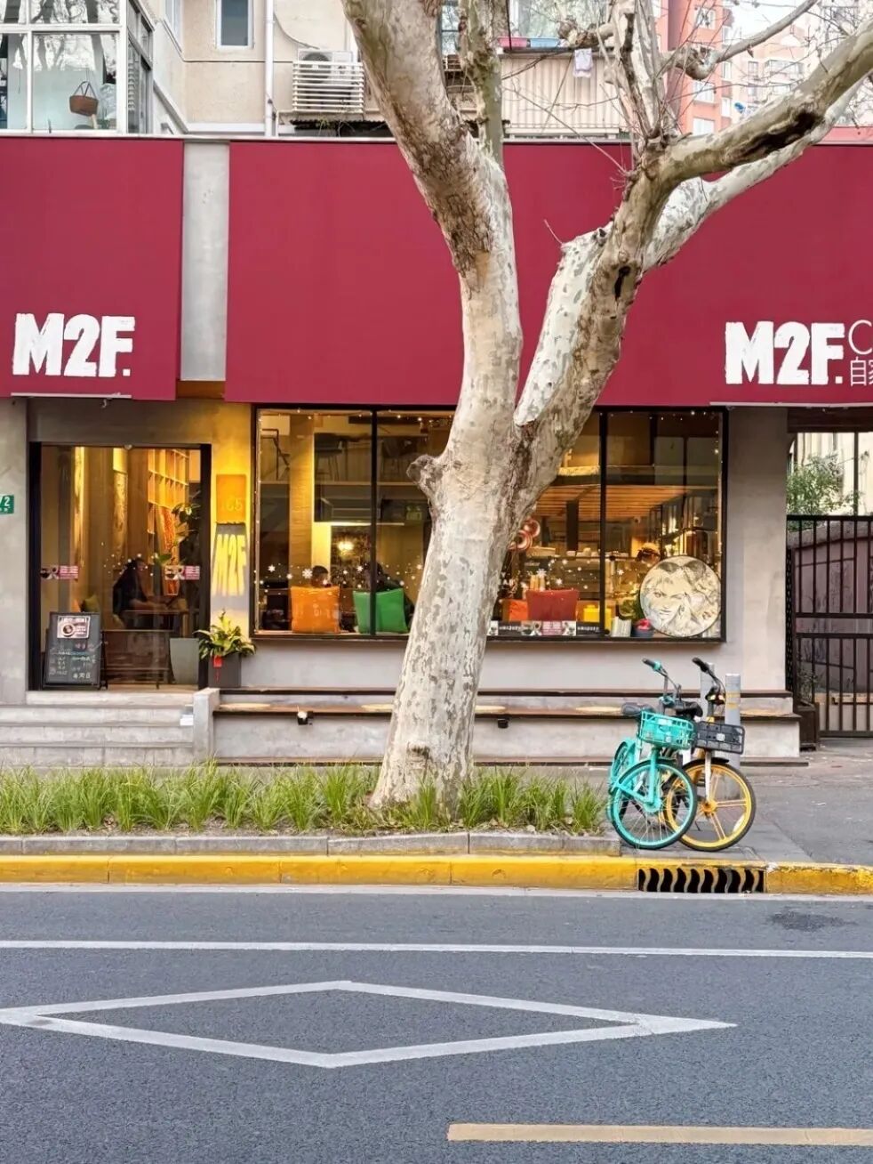 [2025-03-06]和她一起出门找春天