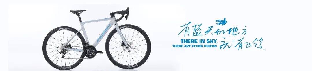 [2024-12-10]向上突破向新而行振兴飞鸽20进行时